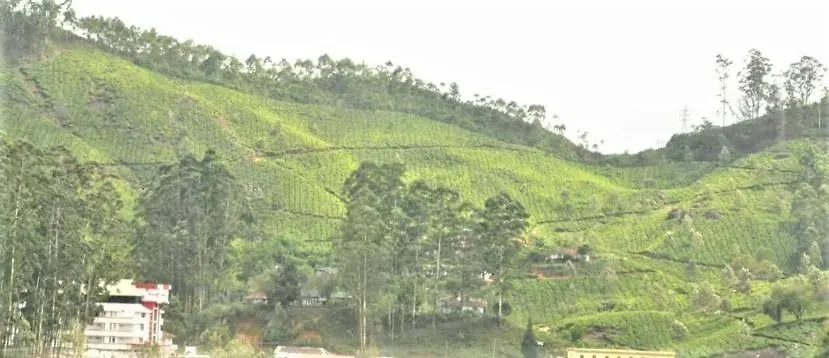 Hotel Pranav 4 Seasons Munnar 3*,