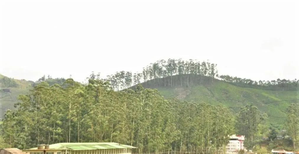 Hotel Pranav 4 Seasons Munnar